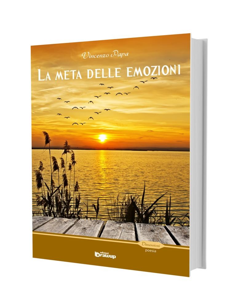La meta delle emozioni..., V. Papa e G. Caridi